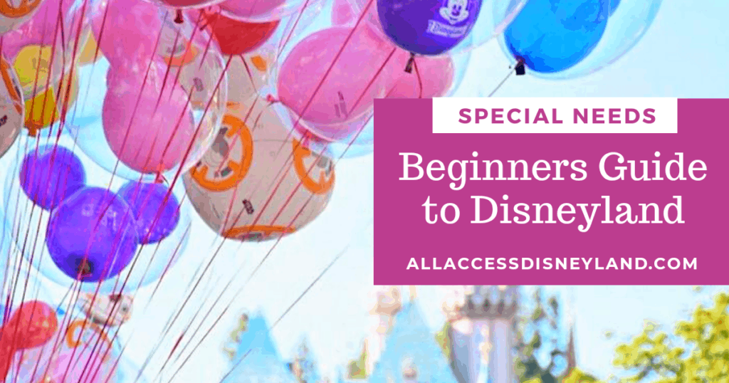 Navigating Disneyland: A Fun and Witty Guide for Special Needs and Disabilities