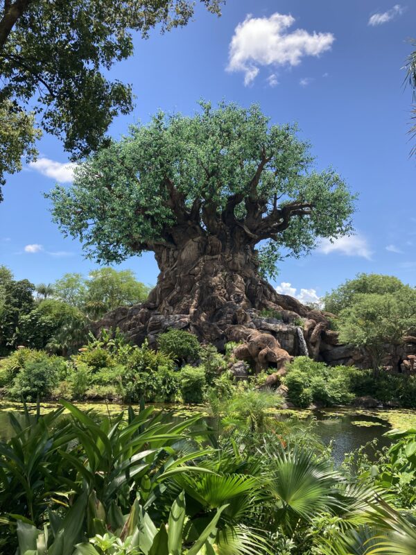 Unveiling the Authenticity: The Real Animals of Disney’s Animal Kingdom