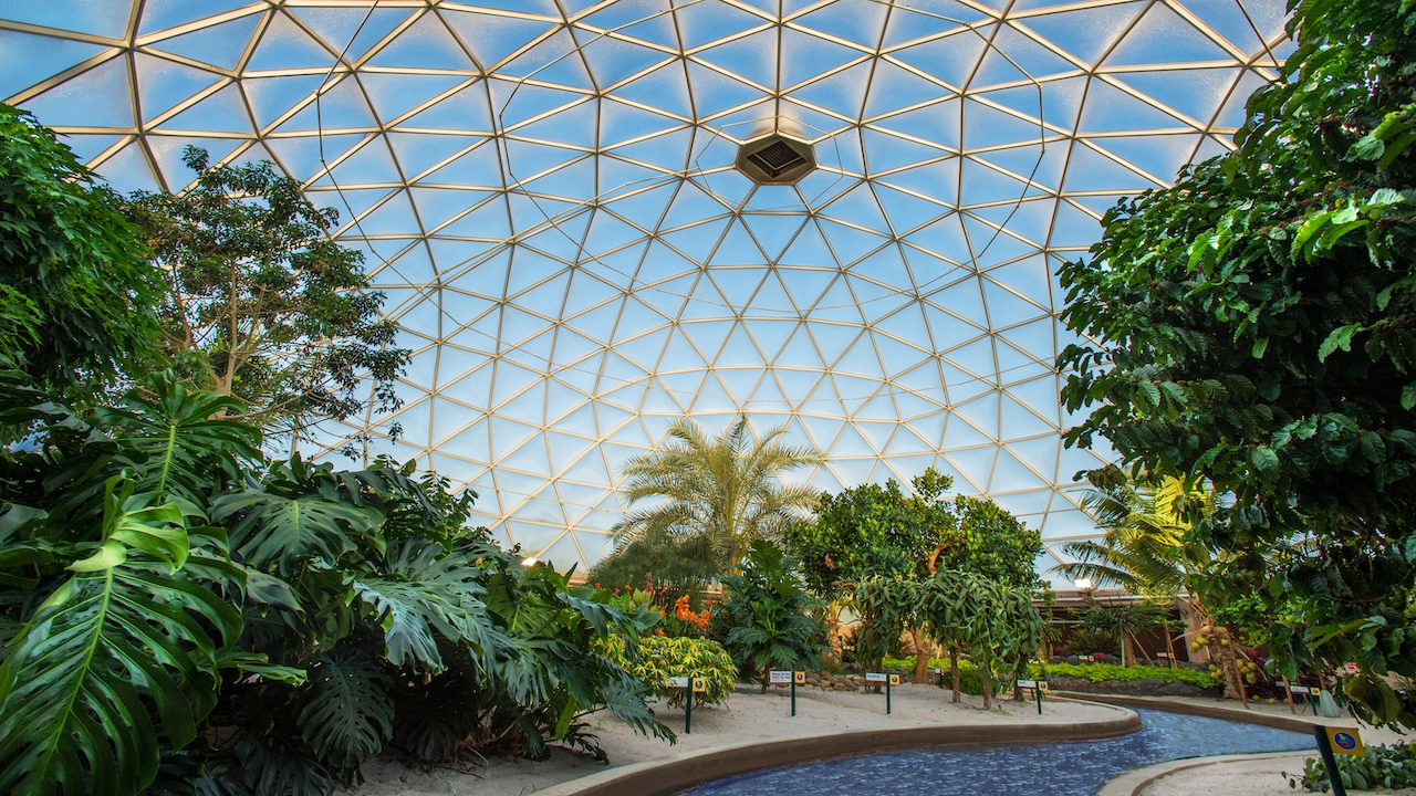 Magical Eco-friendly Practices at Disney Parks and Resorts