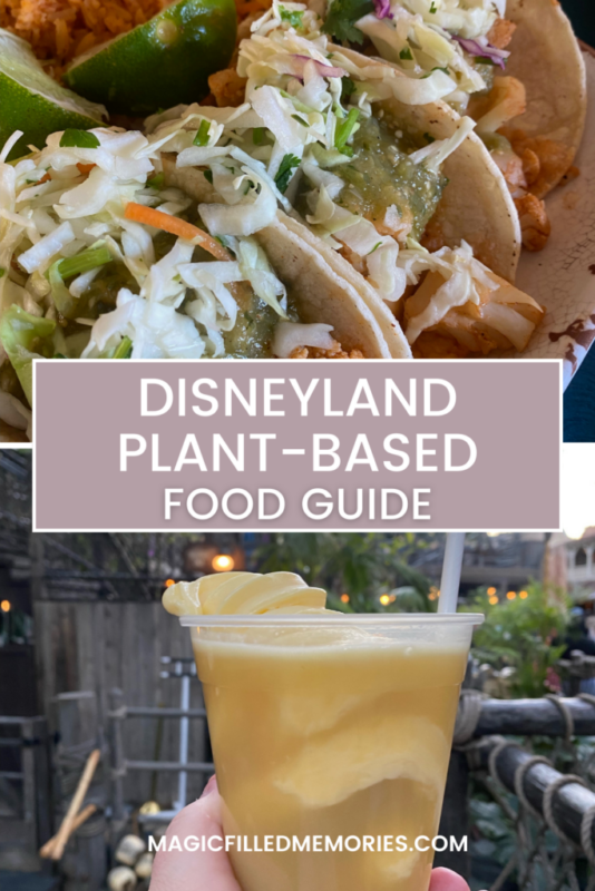 Exploring the Pleasure of Disneylands Plant-Based Culinary Delights