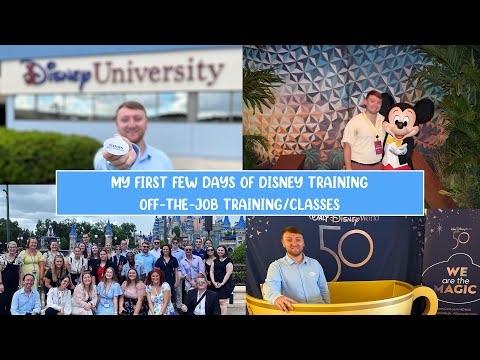 Unveiling the Magic: Educational Programs and Workshops at Disney World